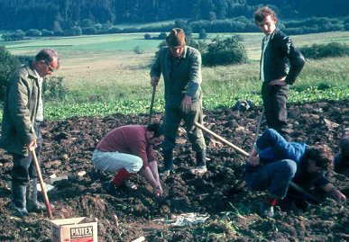 Beginn der Ausgrabungen in Berndorf 1971: links Ewald Kimpel +, daneben gebückt: Günther Hain, Stehend: Adam und Rolf Täuber. 